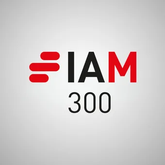Logo with a red three-bar icon on the left, followed by IAM (I and A in black, M in red) and 300 below, on a light grey gradient background.