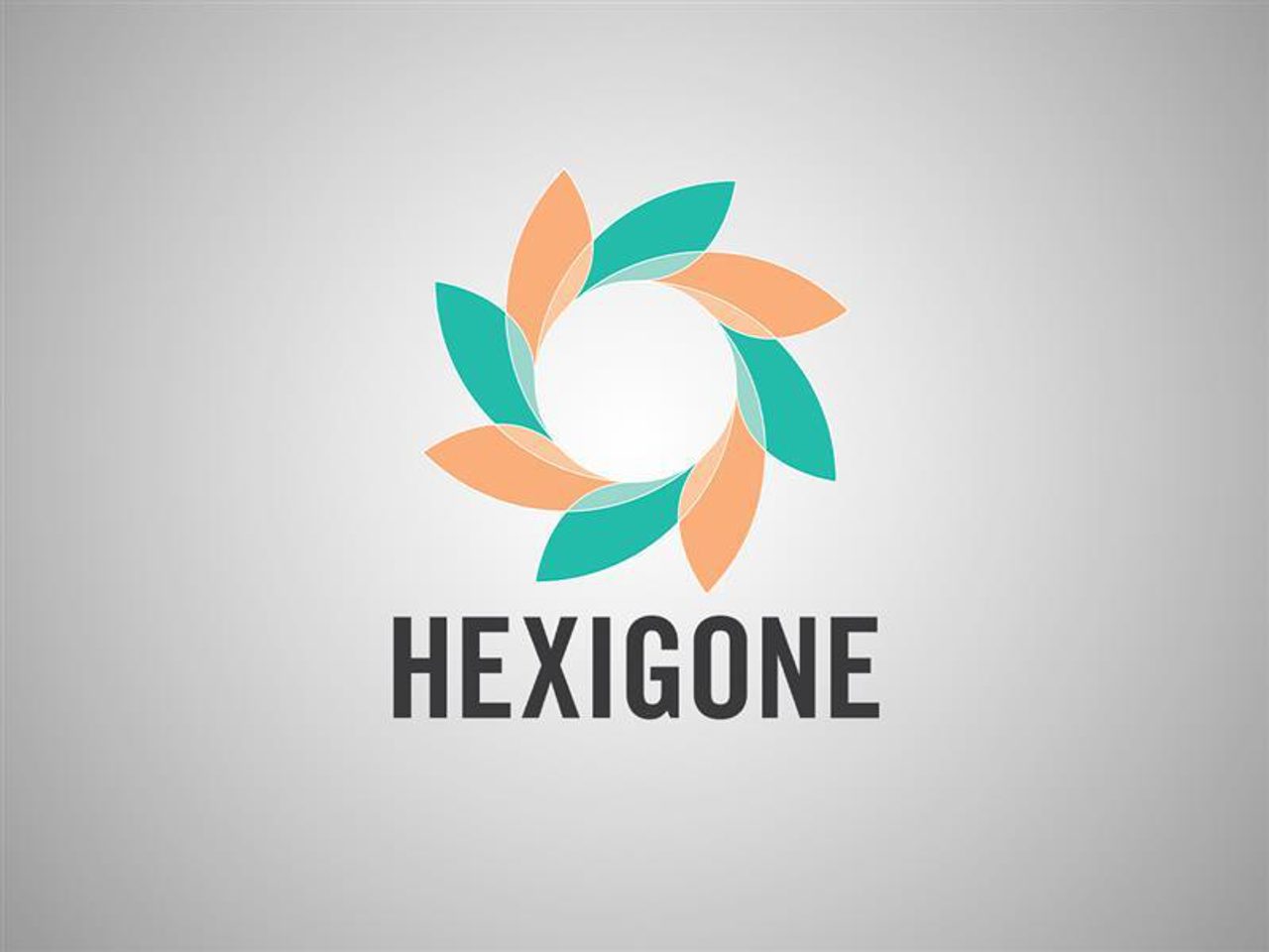 A geometric circular design with teal and peach leaves arranged in a ring above the bold text "HEXIGONE" on a grey background.