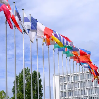 Multiple international flags waving in the breeze against a partly cloudy sky with a modern building and green trees in the background.