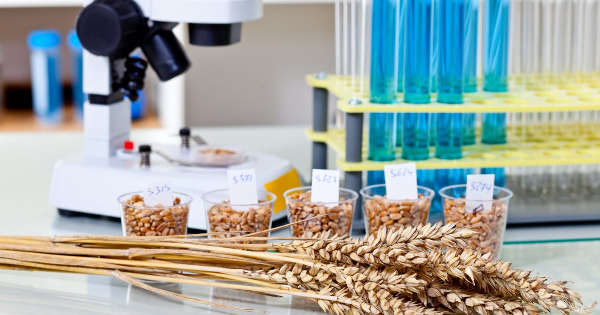 Recent Food Inventions A guide to patenting food technology inventions – Part 1 | Insights