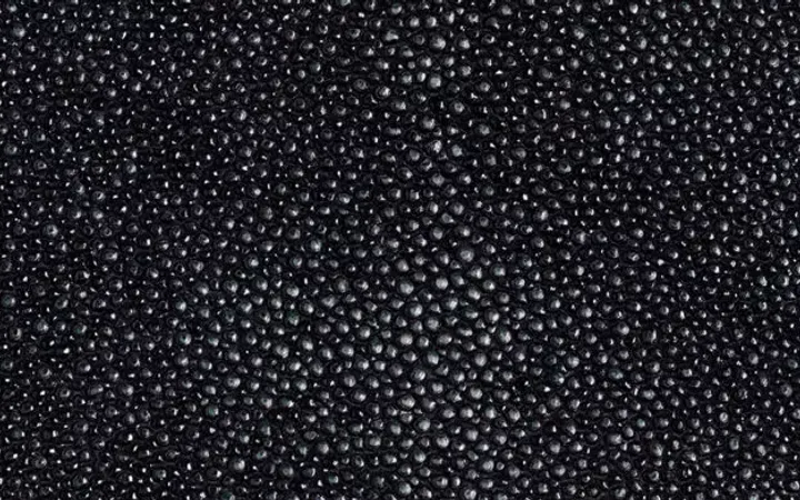 Close-up of a textured black surface covered in small, rounded bumps.
