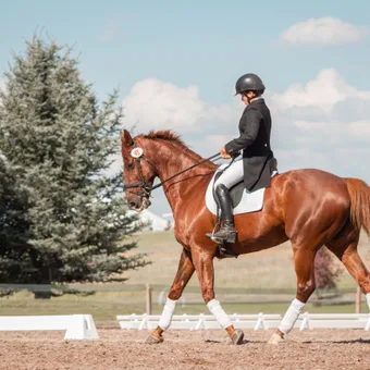 A rider in formal equestrian attire and a helmet rides a chestnut horse with protective leg wraps in a dressage arena outdoors on a sunny day.