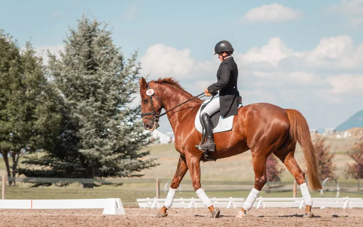 A rider dressed in formal equestrian attire riding a chestnut horse on a sandy arena during a competition on a bright, sunny day.