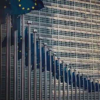 Multiple European Union flags on silver poles in front of a modern glass building facade.
