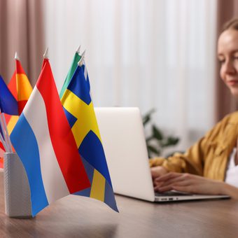 A person sits at a desk typing on a laptop, with a holder of small national flags (EU, UK, Netherlands, Ukraine) in the foreground.