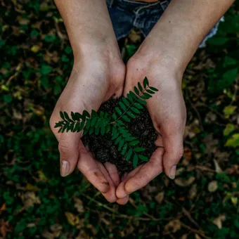 Two hands hold dark soil with a small green fern sprout, set against a background of forest ground covered in leaves and greenery.