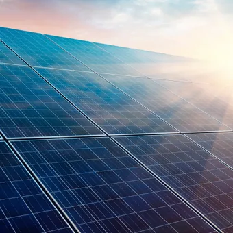 Row upon row of blue solar panels glint in the sun, forming a vast solar farm under a warm, bright sky.