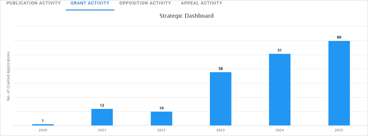 Strategic Dashboard bar chart showing number of granted applications by year (2020–2025); blue bars increase from 1 in 2020 to 60 in 2025.