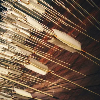 Many white oars are laid out on a dark wooden surface, arranged in parallel lines with some stacked overlapping.