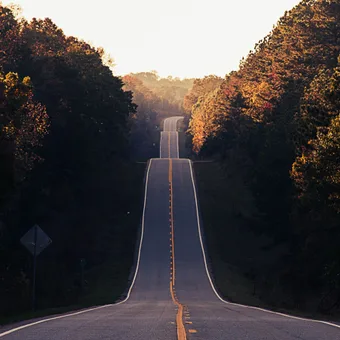 A long, winding road through a forested landscape with trees displaying autumn colors, leading into the distance under a bright sky.