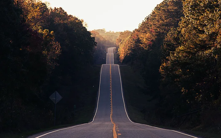A long, winding road through a forested landscape with trees displaying autumn colors, leading into the distance under a bright sky.