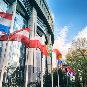 Multiple flags, including Portugal and Austria, flying outside a modern glass building with blue sky and clouds, surrounded by trees.