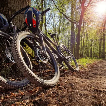 Two mountain bikes with helmets resting against a tree in a sunlit forest trail during daytime.