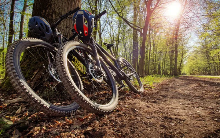 Two mountain bikes and helmets leaning against a tree on a forest trail during sunlight filtering through green-leafed trees.