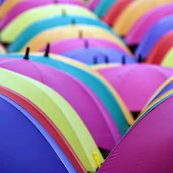 Colorful umbrellas arranged in neat rows, creating a vibrant wave of pink, purple, blue, yellow, and green.