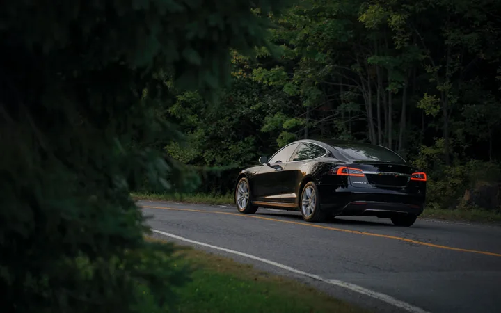 A black Tesla Model S driving along a forested mountain road at dusk, with trees and greenery surrounding the vehicle.