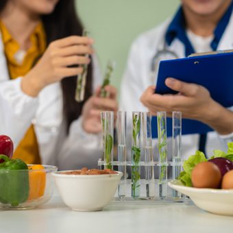 Scientists examining plant samples with test tubes and a clipboard surrounded by vegetables and bowls on a table.