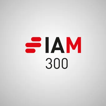 The image features a logo with the text "IAM 300" on a light grey background. The letter "I" is stylised with red horizontal lines, "A" and "M" are in black and red respectively.