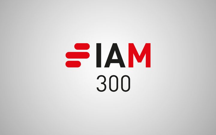 The image features a logo with the text "IAM 300" on a light grey background. The letter "I" is stylised with red horizontal lines, "A" and "M" are in black and red respectively.