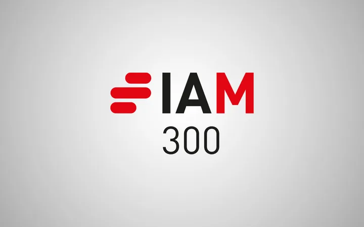 The image features a logo with the text "IAM 300" on a light grey background. The letter "I" is stylised with red horizontal lines, "A" and "M" are in black and red respectively.