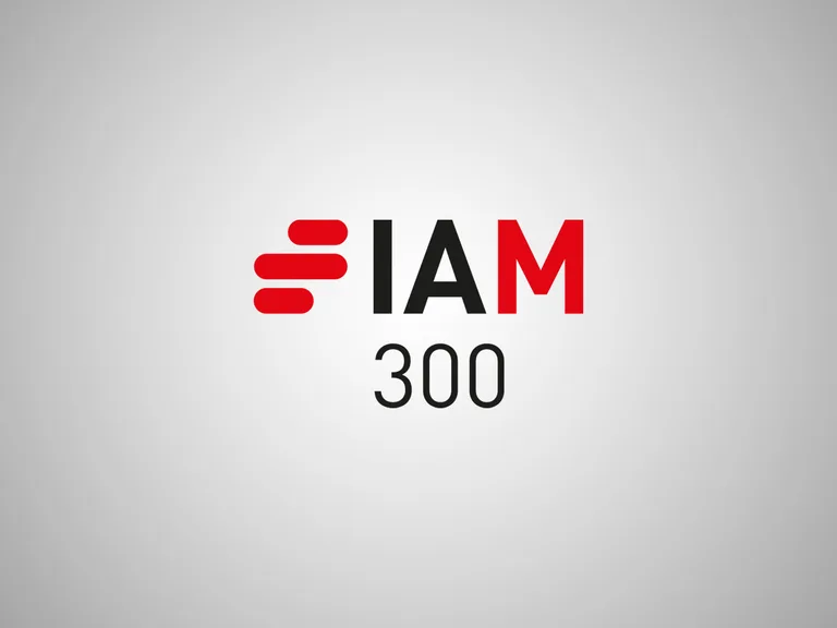 The image features a logo with the text "IAM 300" on a light grey background. The letter "I" is stylised with red horizontal lines, "A" and "M" are in black and red respectively.