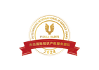 A round emblem with a gold eagle and the text "IP Eagle Talents 2024", surrounded by a gold border and a red ribbon with Chinese characters.