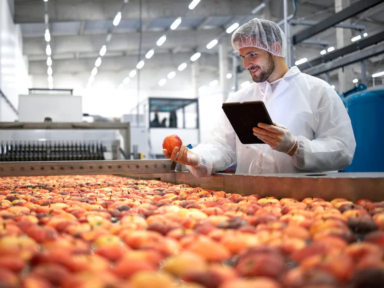 Person in white protective suit, hairnet and gloves, holding a tablet while inspecting peaches on a conveyor belt in an industrial processing facility.