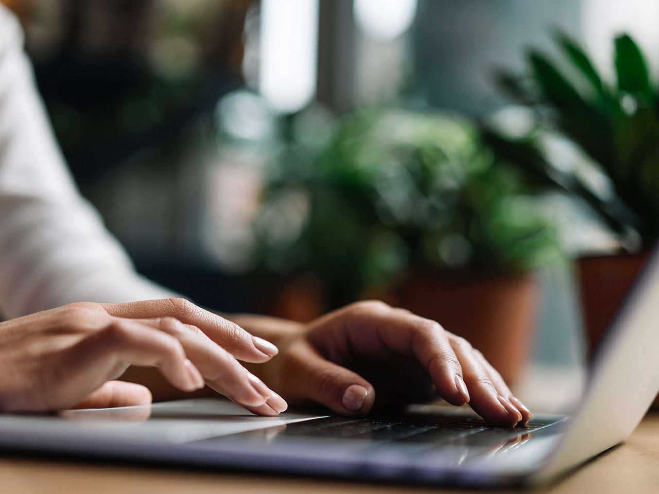 Close-up of person's hands typing on a laptop keyboard, with potted plants and a window in the blurred background.