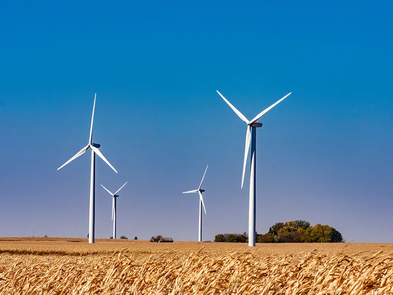 Several white wind turbines rise above a golden wheat field under a clear blue sky, with a small farm building and trees in the distance.