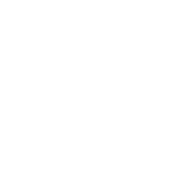 IAM 1000 Research - 2023