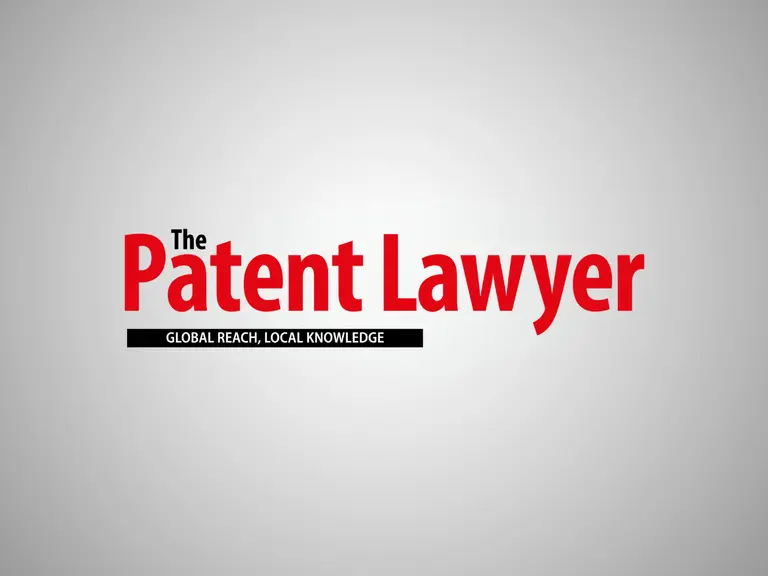 The Patent Lawyer Website Image 1280 x 960 1
