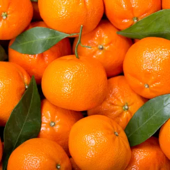 Close-up of a pile of bright oranges with glossy peels, a few attached stems, and scattered green leaves.