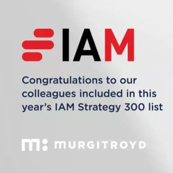 IAM 300 Strategy List 2023 800x450
